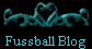 Fussball Blog